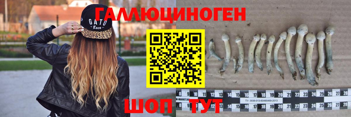 Галлюциногенные грибы Magic Shrooms  как найти   Прохладный  Галлюциногенные грибы Magic Shrooms  Вход с VPN 