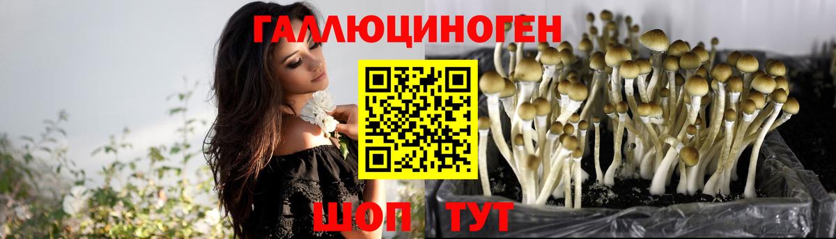 Псилоцибиновые грибы ЛСД Прохладный