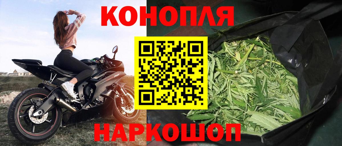 Канабис планчик  Марихуана сатива  МАРИХУАНА VHQ  Прохладный  Вход с VPN 